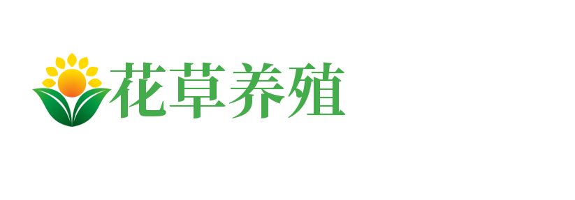 广东省江门市江海区震源仪促厨房设施有限责任公司,宁德广东省江门市江海区震源仪促厨房设施有限责任公司